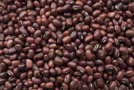 Background of red uncooked beansの写真素材