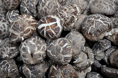 Background of Asian black mushroomsの写真素材