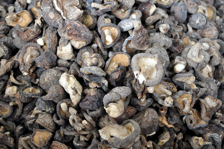 Background of Asian black mushroomsの写真素材