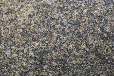 Surface of a rock on a beach on Pangkor island, North-West Malaysiaの写真素材