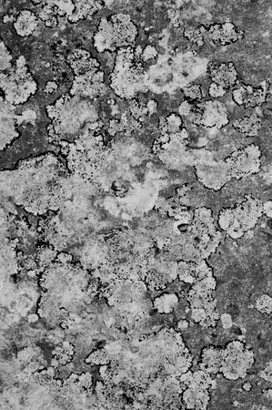 Surface of stone in Franceの写真素材