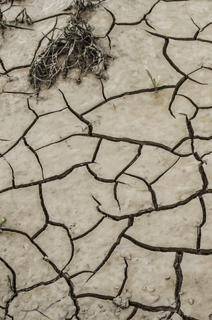 Dry cracked earth in the south of Franceの写真素材