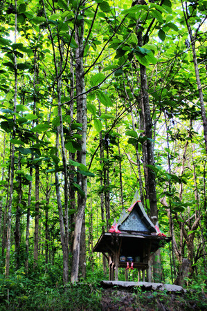 A spirit house in a forest of Thailandの写真素材