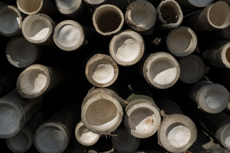Stock of bamboo polesの写真素材