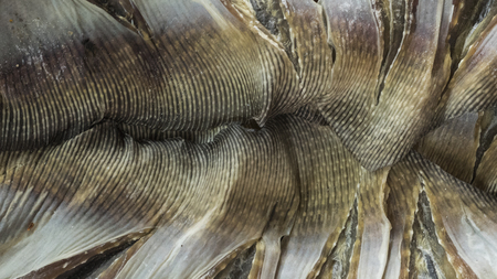 Dried fish are presented at Binh Tay market in Ho Chi Minh City, Vietnamの写真素材