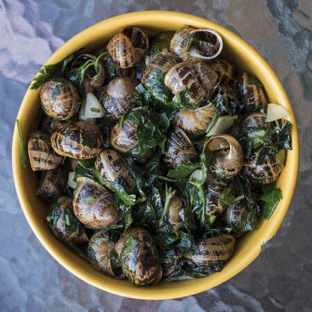 Top view of garden snails cooked French style in butter with parsley and garlic, in a yellow ceramic bowl on a glass tableの写真素材