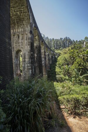 The Nine Arch bridge seen from the tea plantation under it at Ella in Sri Lanka.の素材 [FY310146452833]