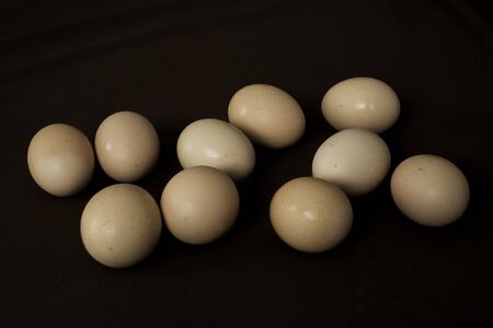 Small chicken eggsの写真素材