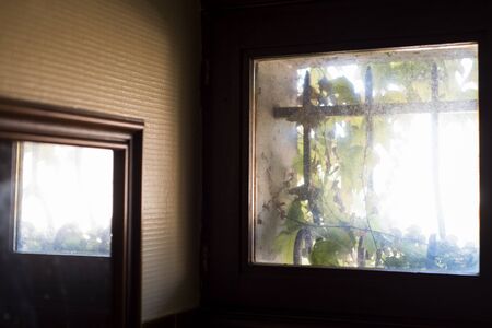 Virginia creeper in small window with cast iron barsの写真素材