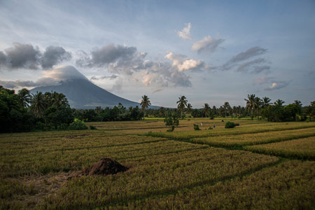 Mount Mayon volcano in the Philippines.