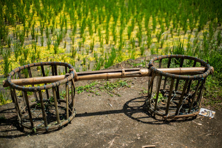 Traditional Balinese carrying bamboo baskets with rice field in the background.の写真素材