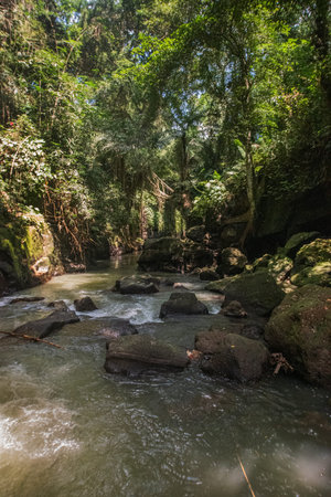 River in the jungle, with large rocks.
