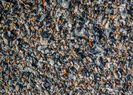 Background close up top view of seashells, pebbles, and sand.