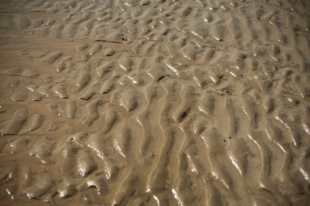 Background top view close up of beach's sand.