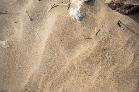 Background top view close up of beach's sand.