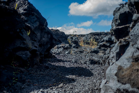 Mount Batur's lava field.の写真素材