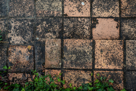 Closeup top view of a weathered tiled floor from the outside terrace of a traditional French house.の写真素材