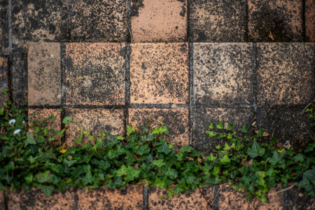 Closeup top view of a weathered tiled floor from the outside terrace of a traditional French house.