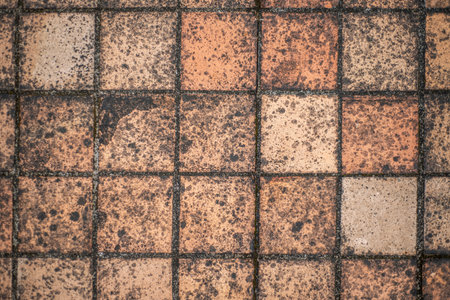 Closeup top view of a weathered tiled floor from the outside terrace of a traditional French house.の写真素材