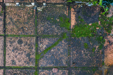 Closeup top view of a weathered tiled floor from the outside terrace of a traditional French house.の写真素材