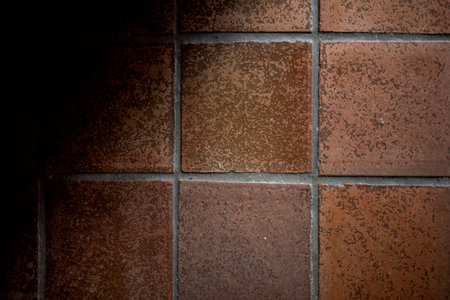Closeup top view of a tiled floor of a traditional French house.