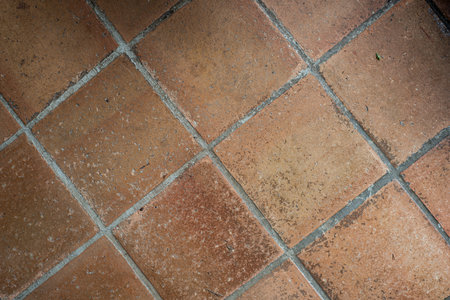 Closeup top view of a tiled floor of a traditional French house.