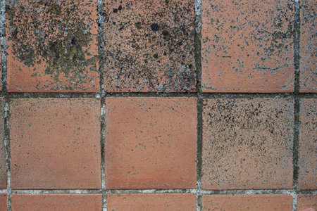 Closeup top view of a tiled floor of a traditional French house.