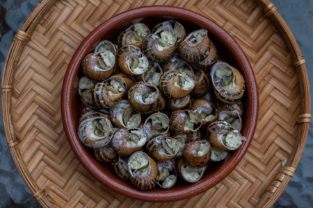 Top view close up of a traditional French dish of snails before baking.の写真素材