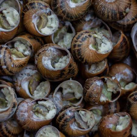 Top view close up of a traditional French dish of snails before baking.の写真素材