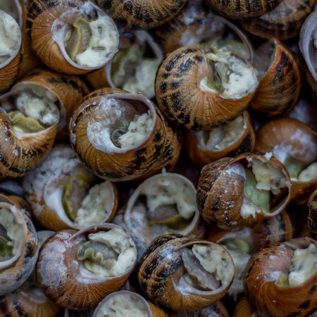 Top view close up of a traditional French dish of snails before baking.の写真素材