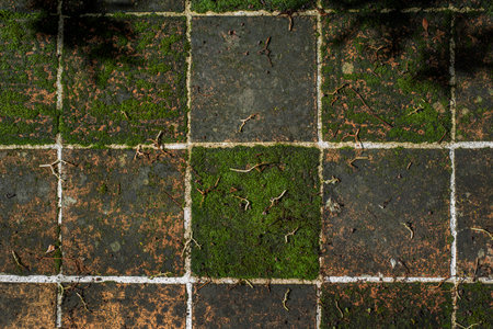 Closeup top view of a weathered tiled floor of a traditional French house.の写真素材