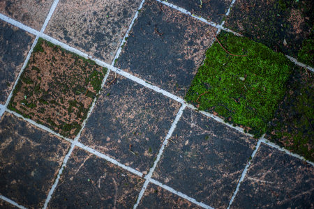 Closeup top view of a weathered tiled floor of a traditional French house.