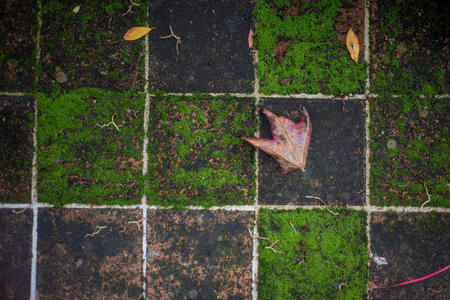 Closeup top view of a weathered tiled floor of a traditional French house.