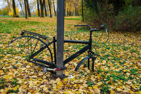 Bicycle without wheels in the parkの写真素材