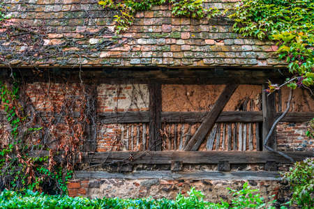 dried up ivy on old house facade, Alsace France.の写真素材