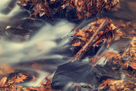 Long exposure of a river in the forest in autumn