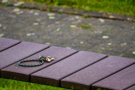 rusted bunch of keys on a bench