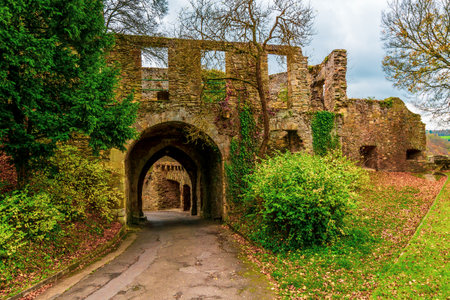 Dhaun castle ruins in Germany.のeditorial素材