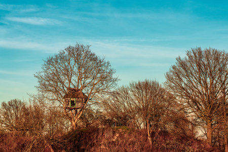 Tree house in the Dutch city of Nijmegen.