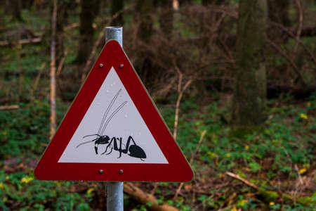 Warning sign, insects in the forest, Germany.の写真素材