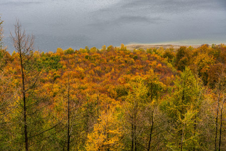 Panoramic view on Rur lake in the Eifel National Park, Germany