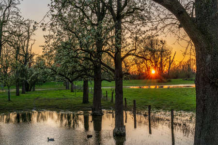 flooded fields at sunset, Dusseldorf Germanyの写真素材