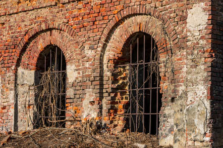 Castle ruin in Slawikau, Polandの写真素材