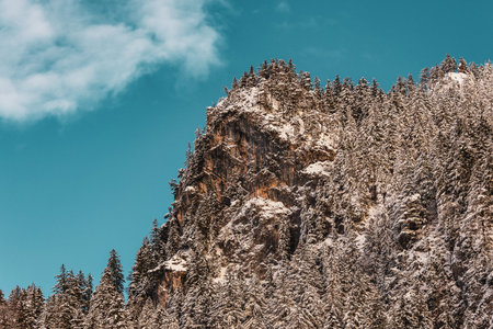 snowy mountains and trees in the alps