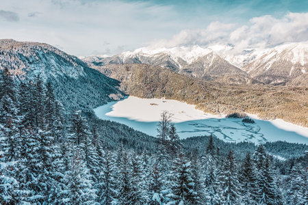 snowy mountains and trees in the alps. View of the lake Eibsee. Germany.