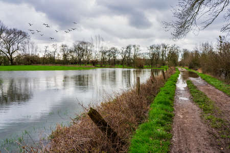 flood on the Rhine near DÃ¼sseldorfの写真素材