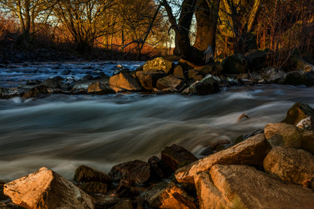 River in the woods in autumn