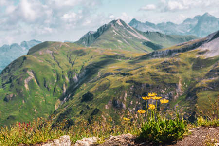 Panoramic view of the Austrian Alps.の写真素材
