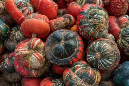 Red green pumpkins next to each other