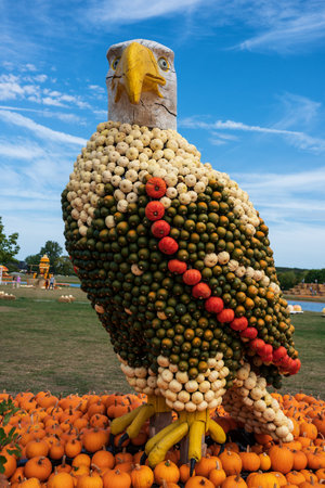White-tailed eagle figure decorated with pumpkinsの写真素材